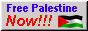 Free Palestine Now!!! with the flag of Palestine waving next to it